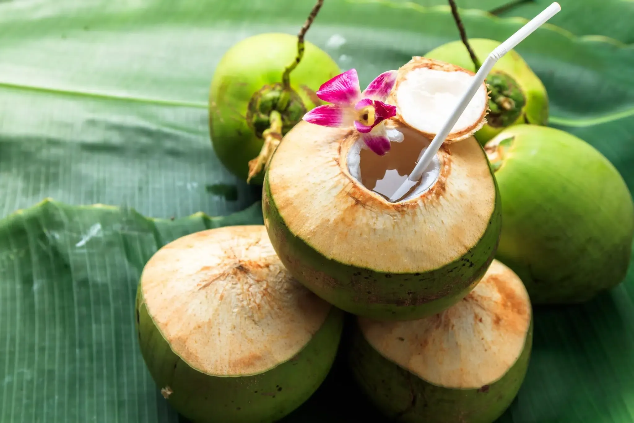 Fresh Coconut