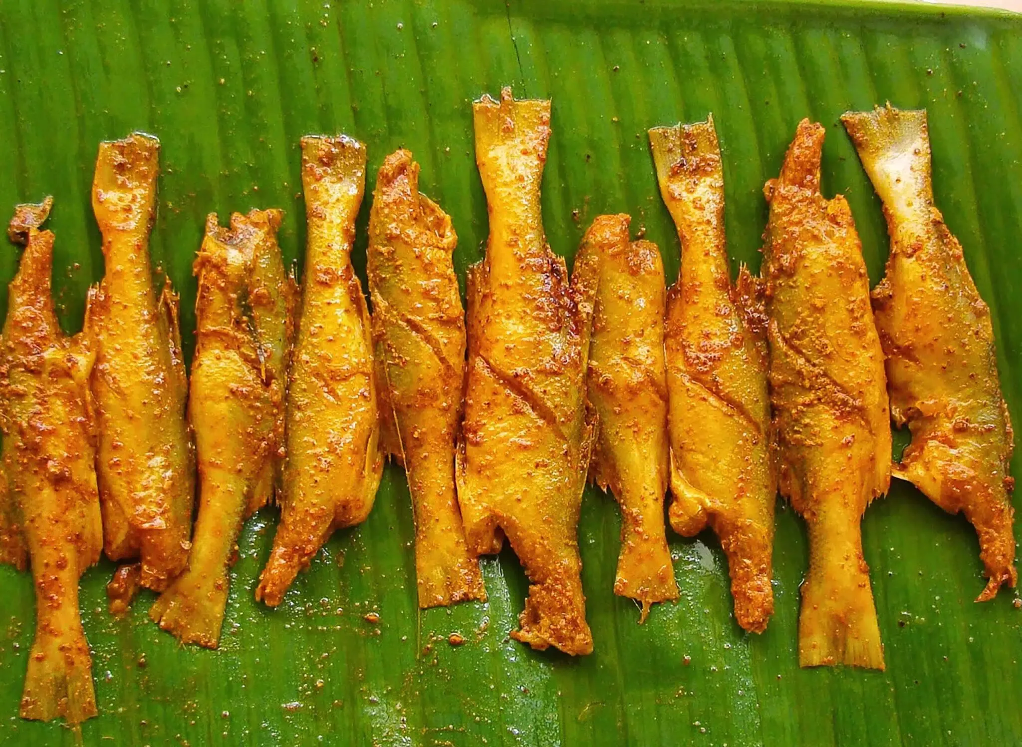 Topse Fry